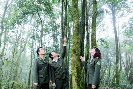 Lực lượng kiểm lâm Lào Cai quản lý, bảo vệ rừng tại Vườn quốc gia Hoàng Liên. 