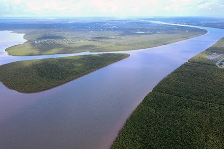 Sông Cửa Lớn đầu bên bờ biển Tây nhìn từ cửa biển Ông Trang (Cà Mau) với khoảng giữa là "cù lao" rừng ngập mặn. 