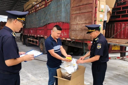 Hải quan Quảng Ninh kiểm tra hàng hóa xuất, nhập khẩu.