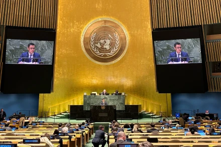 Ðại diện Việt Nam phát biểu tại phiên họp Ðại hội đồng Liên hợp quốc. (Ảnh: BỘ NGOẠI GIAO) 