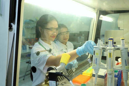 Sinh viên Học viện Nông nghiệp Việt Nam nghiên cứu khoa học trong lĩnh vực nông nghiệp. (Ảnh VIẾT CHUNG)