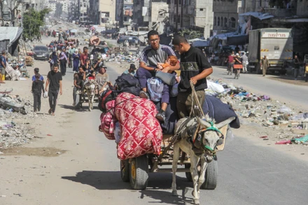 Người dân Palestine ở Dải Gaza đi lánh nạn. (Ảnh Declassified UK) 