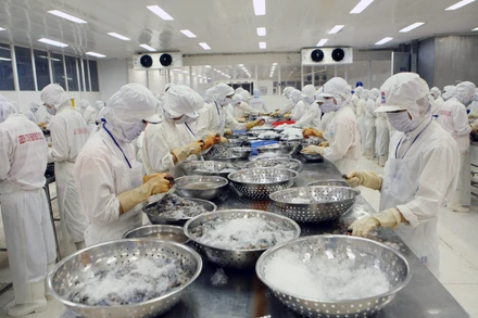 Phụ phẩm ngành sản xuất và chế biến thủy sản là nguồn nguyên liệu lớn để tạo ra các sản phẩm giá trị gia tăng cao. (Ảnh TRẦN TUẤN) 