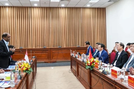 Quang cảnh một buổi làm việc về thúc đẩy hợp tác giữa Singapore và tỉnh Cà Mau, Việt Nam. (Ảnh Đại sứ quán Singapore tại Việt Nam) 