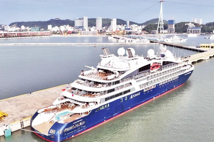 Khách quốc tế du lịch đến Quảng Ninh bằng đường biển ngày càng tăng. 