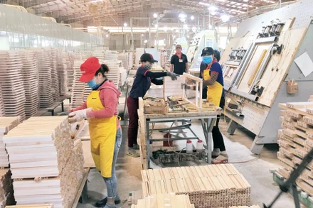 Sản xuất gỗ tại Công ty Kỹ nghệ gỗ Tiến Đạt (phường Bùi Thị Xuân, thành phố Quy Nhơn, tỉnh Bình Định).