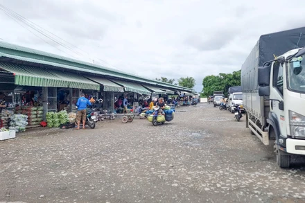 Chợ đầu mối nông sản xã Ngãi Tứ, huyện Tam Bình, tỉnh Vĩnh Long mỗi ngày cung ứng và vận chuyển hơn 200 tấn rau màu cho thị trường. 