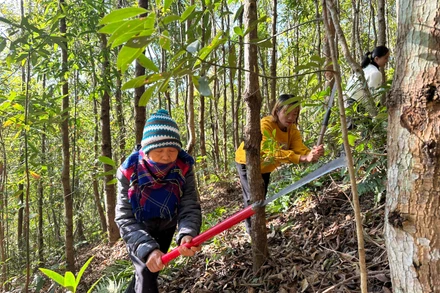 Người dân huyện Điện Biên Đông phát cây bụi phòng chống cháy rừng trong những ngày nắng nóng. 