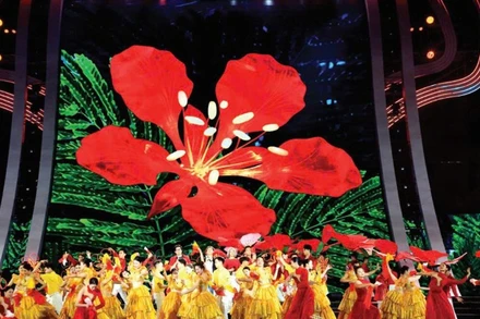 Hoa Phượng đỏ - Biểu tượng của thành phố Hải Phòng.