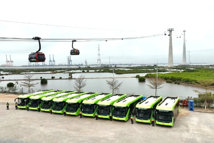 Vận hành xe điện tuyến ga Phù Long đến Vịnh trung tâm Xanh Island tại đảo du lịch Cát Bà.