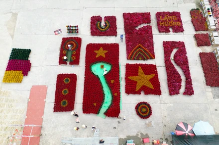 Hình ảnh lá cờ Tổ quốc, bản đồ Việt Nam rực rỡ tại điểm check-in làng hương Quảng Phú Cầu (huyện Ứng Hòa).