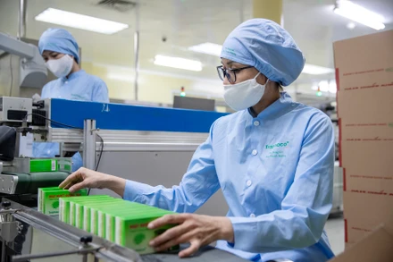 Công ty cổ phần Traphaco xác định phát triển dựa trên năng lực của mình, con người Việt Nam và dược liệu Việt Nam.