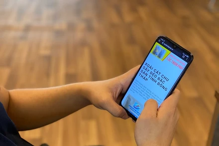 Doanh nghiệp Đồng Tháp phát triển thương hiệu cùng tên miền quốc gia Việt Nam ".vn".