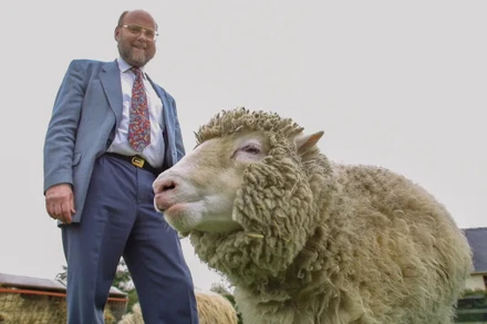 Tiến sĩ Ian Wilmut và Dolly, con cừu nhân bản đầu tiên trên thế giới, tại Viện Roslin thuộc Đại học Edinburgh năm 2002. Ảnh: Getty Images.