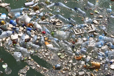 Ảnh: Rosemary Calvert/Getty Images.