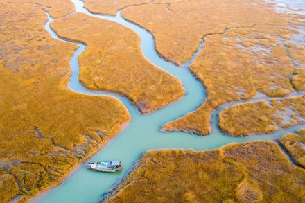 Một tàu đánh cá di chuyển ở cửa sông Hoàng Hà, tỉnh Sơn Đông, Trung Quốc. Ảnh: Guardian.