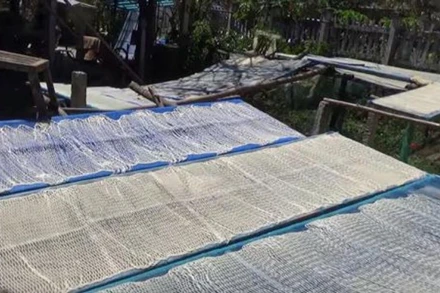 Sợi phở sắn được phơi khô.