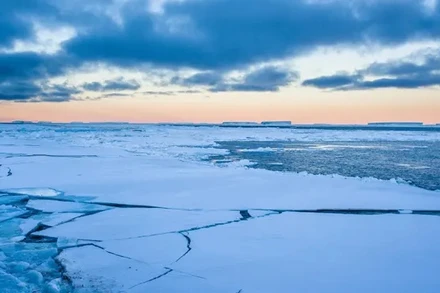 Băng biển bị vỡ và tan chảy ở biển Weddell, Nam Cực. Ảnh: Peace Portal/Alamy.