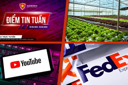 Vạch mặt các chiêu trò lừa đảo qua Shopee, YouTube, thanh toán hộ "nhận hoa hồng"
