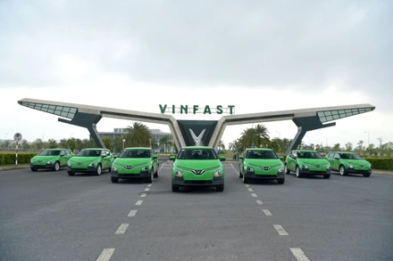 Đội xe điện Mai Linh gồm các dòng xe VinFast VF e34 và VF 5, giữ nguyên màu xanh lá đặc trưng.