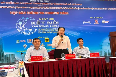 Đồng chí Lê Thị Hồng Nga, Bí thư Đảng uỷ Khối các cơ quan cơ quan Trung ương tại Thành phố Hồ Chí Minh trả lời những thắc mắc của báo chí về Ngày hội.