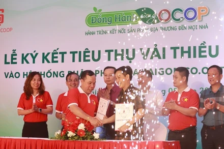 Lễ ký kết tiêu thụ vải thiều Lục Ngạn (Bắc Giang).
