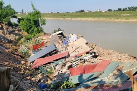 Sạt lở bờ sông Đuống tháng 11/2024. (Ảnh: QUỐC THANH)