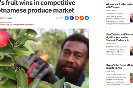 Bài viết nhận định về Việt Nam đăng trên trang tin rnz.co.nz của New Zealand. (Ảnh chụp màn hình)
