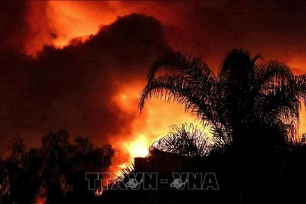 Ảnh minh họa (Nguồn: THX/TTXVN)