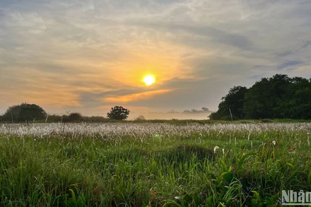 Bình minh Bàu Sấu tràn trề sức sống với những sắc màu và âm thanh của muôn loài chào ngày mới.
