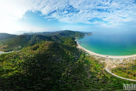 Một góc nhỏ của màu xanh bát ngát Thanh Lân khi nhìn từ trên cao.