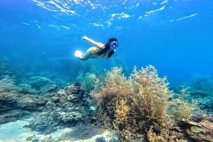 Lặn tự do là trải nghiệm độc đáo, thu hút du khách Việt những năm gần đây.