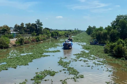 Kênh đào Thủy Trầm ở huyện Thạnh Hóa, tỉnh Long An lấy nước từ hệ thống sông Vàm Cỏ để phục vụ sản xuất nông nghiệp, sinh hoạt và giao thương.