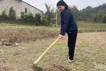 Khu cánh đồng ở Nà Tuồng, xã Xuân Dương (Na Rì) đang chờ nước mưa để sản xuất. (Ảnh: TUẤN SƠN)