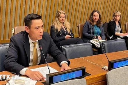 Đại sứ Đặng Hoàng Giang, Trưởng Phái đoàn thường trực Việt Nam tại Liên hợp quốc, phát biểu tại phiên họp. (Ảnh: TTXVN) 