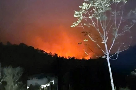 Đám cháy khởi phát từ địa bàn tỉnh Thái Nguyên cháy lan sang khu vực núi Ông Mo ở xã Trung Yên, huyện Sơn Dương, tỉnh Tuyên Quang.