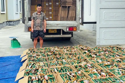 Hơn 5 tấn chân gà rút xương đông lạnh không rõ nguồn gốc của hộ kinh doanh Đ.V.T bị phát hiện, thu giữ.