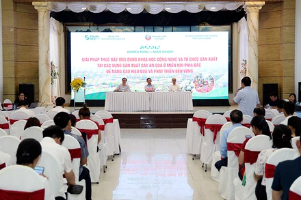 Các đại biểu thảo luận tại diễn đàn.