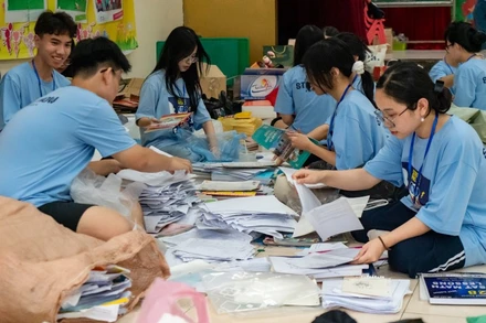 Các học sinh phân loại giấy thu gom được sau sự kiện "Lượm đây".