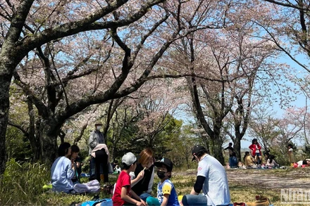 Nhật Bản đón đông đảo khách quốc tế trong 4 tháng đầu năm 2024. (Ảnh: HOA PHẠM)