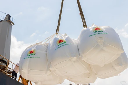 Gạo Việt Nam có một vụ mùa “bội thu”.