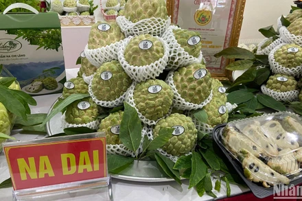 Na Chi Lăng, Lạng Sơn là sản phẩm OCOP 4 sao. (Ảnh: NGỌC KHÁNH)