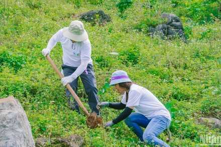 Các tình nguyện viên trồng rừng tại xã Vân Hồ, huyện Vân Hồ, tỉnh Sơn La.