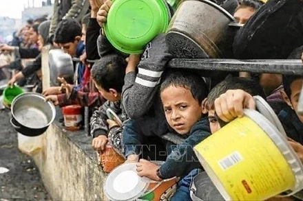 Người dân Palestine nhận thức ăn cứu trợ tại Dải Gaza. (Ảnh: TTXVN)