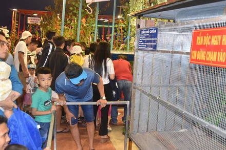 Khách tham quan rắn thật tại đường hoa Quảng trường Hùng Vương mừng Xuân Ất Tỵ năm 2025.