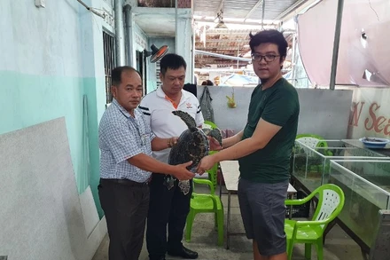 Ông Trần Anh Khoa (bên phải) bàn giao cá thể đồi mồi dứa quý hiếm cho cơ quan chức năng.