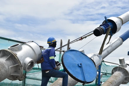 Dây văng cuối cùng của cầu Mỹ Thuận 2 được căng lên.