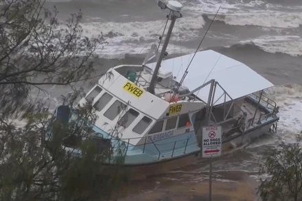 [Video] Bão Alfred tại Australia: hơn 300 nghìn người mất điện, nguy cơ lũ quét gia tăng