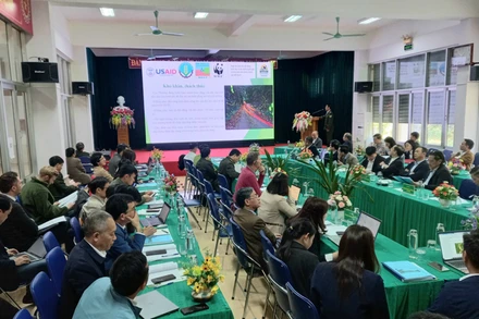 Quang cảnh Hội nghị.