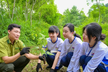 Học sinh lớp 10 chuyên Sinh của Trường THPT chuyên Chu Văn An (Hà Nội) trải nghiệm “giờ học ngoài trời” tại Vườn Quốc gia Cúc Phương (Ninh Bình)